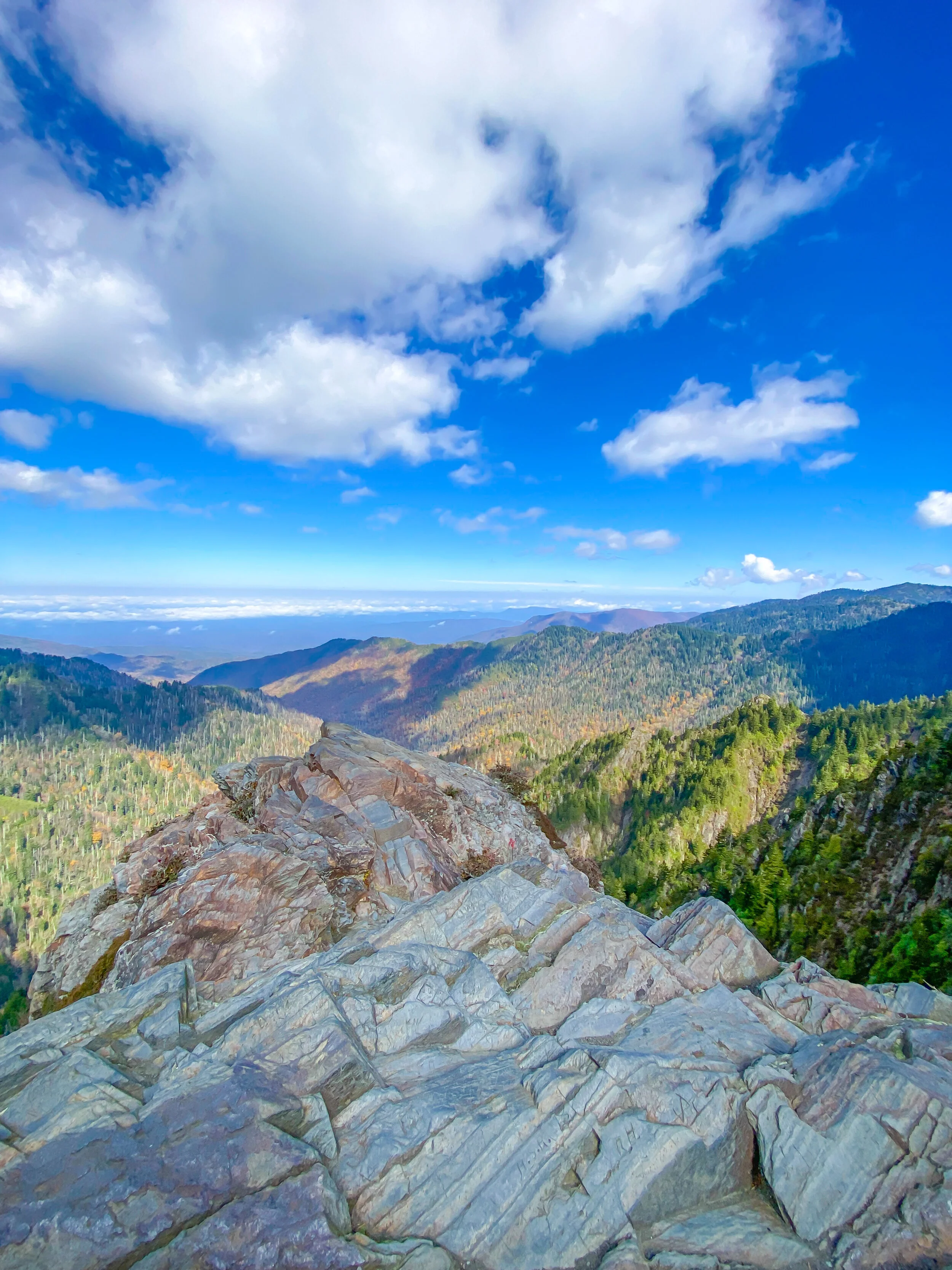 Best Hikes In Great Smoky Mountains National Park Define Fettle